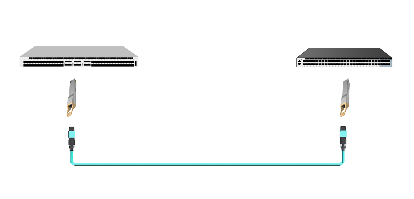 network interconnection