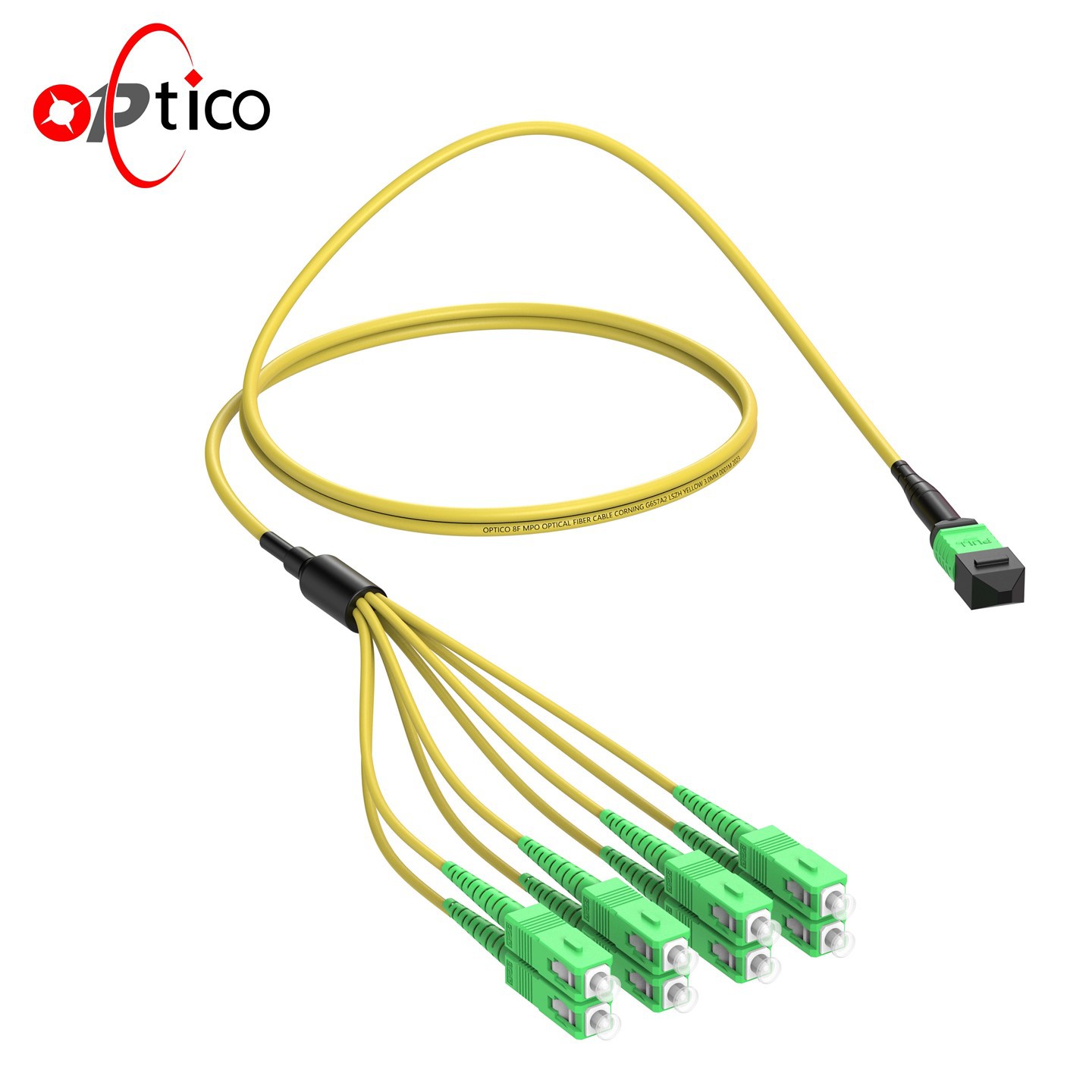 8F MTP MPO إلى SC APC Breakout Cable