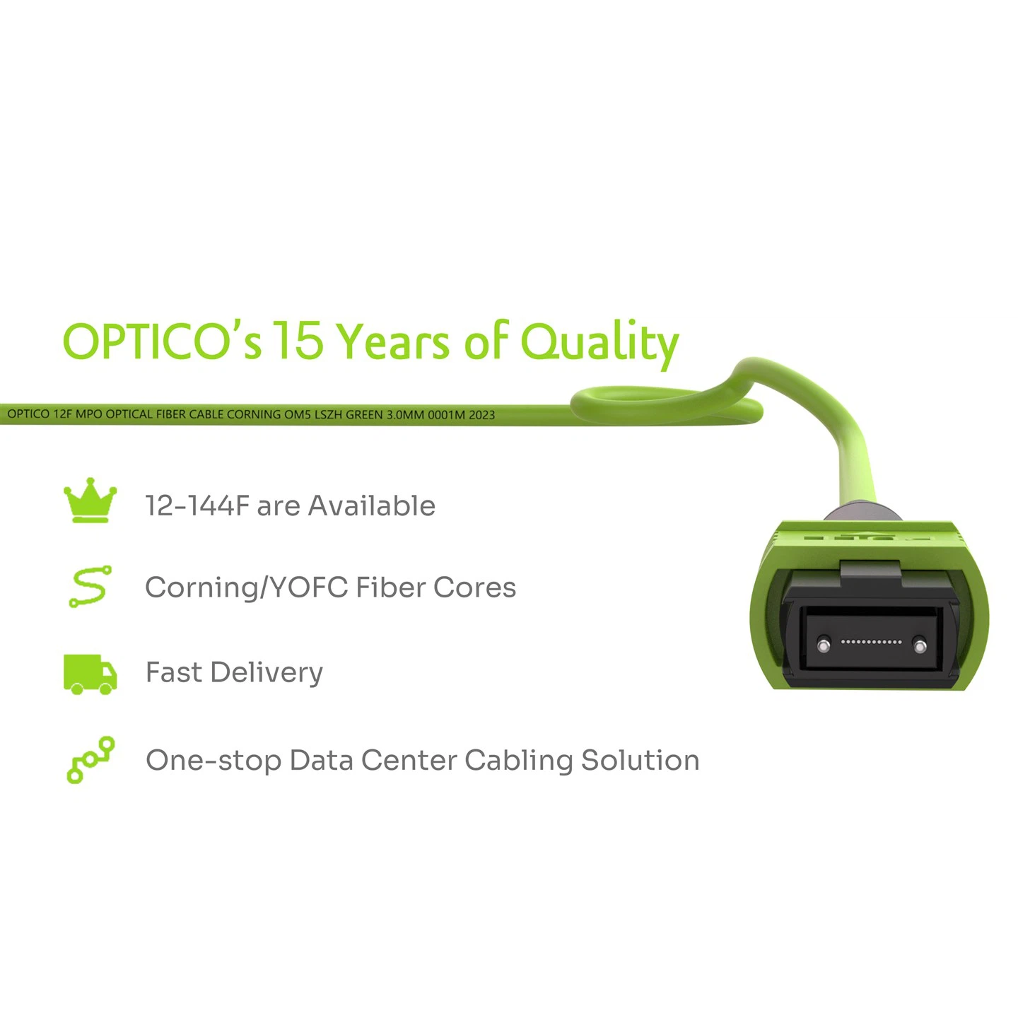 MPO LC Fanout Fiber Optic Cable 12 Cores