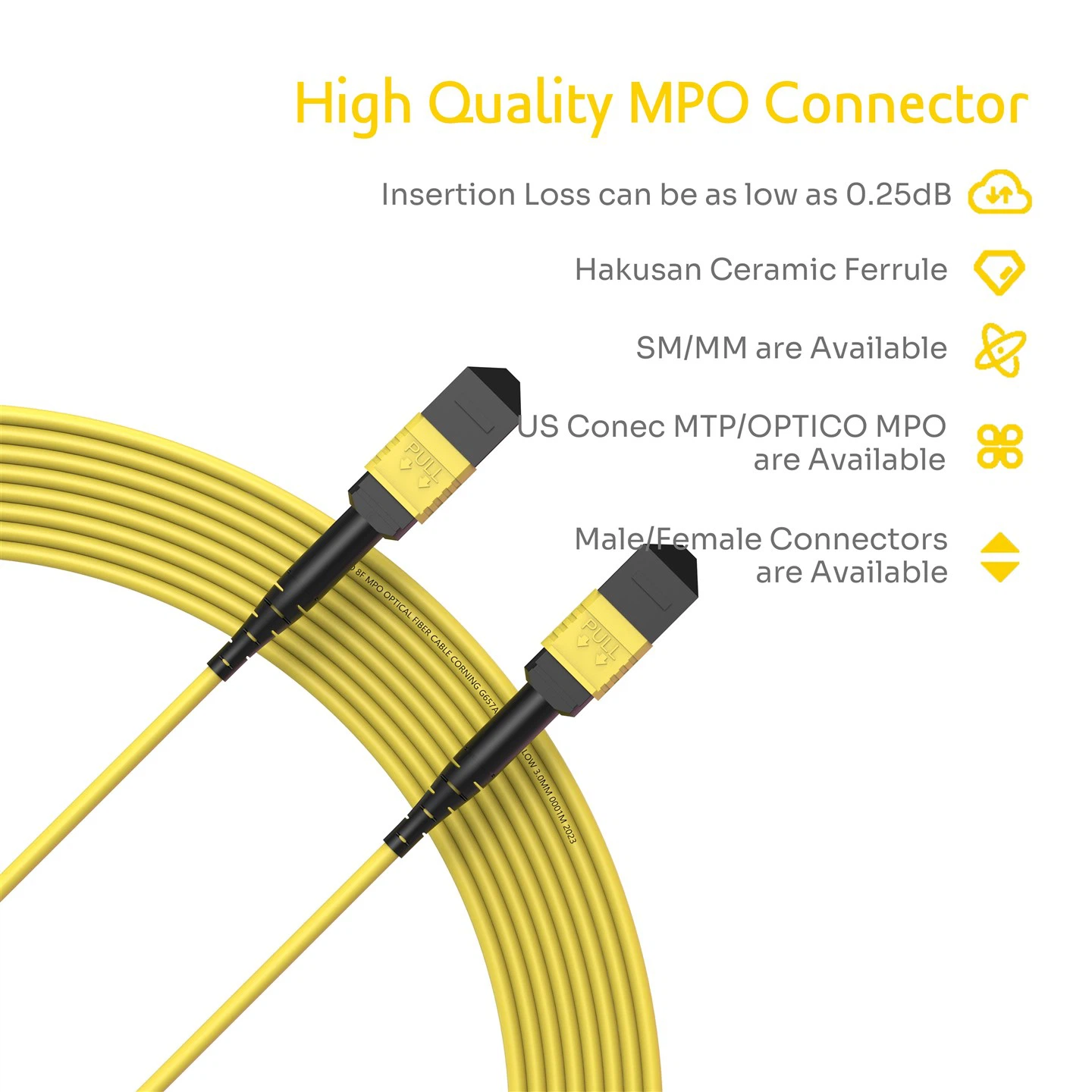 MPO Patch Cord