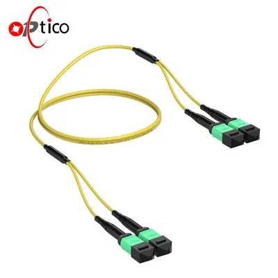 24F 2 × 12F MPO MALE-2 × 12F MPO Cable Trunk Cable OS2