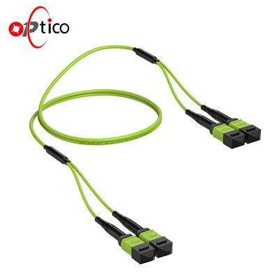 24F MPO Trunk Cable OM5 Female 2 × 12